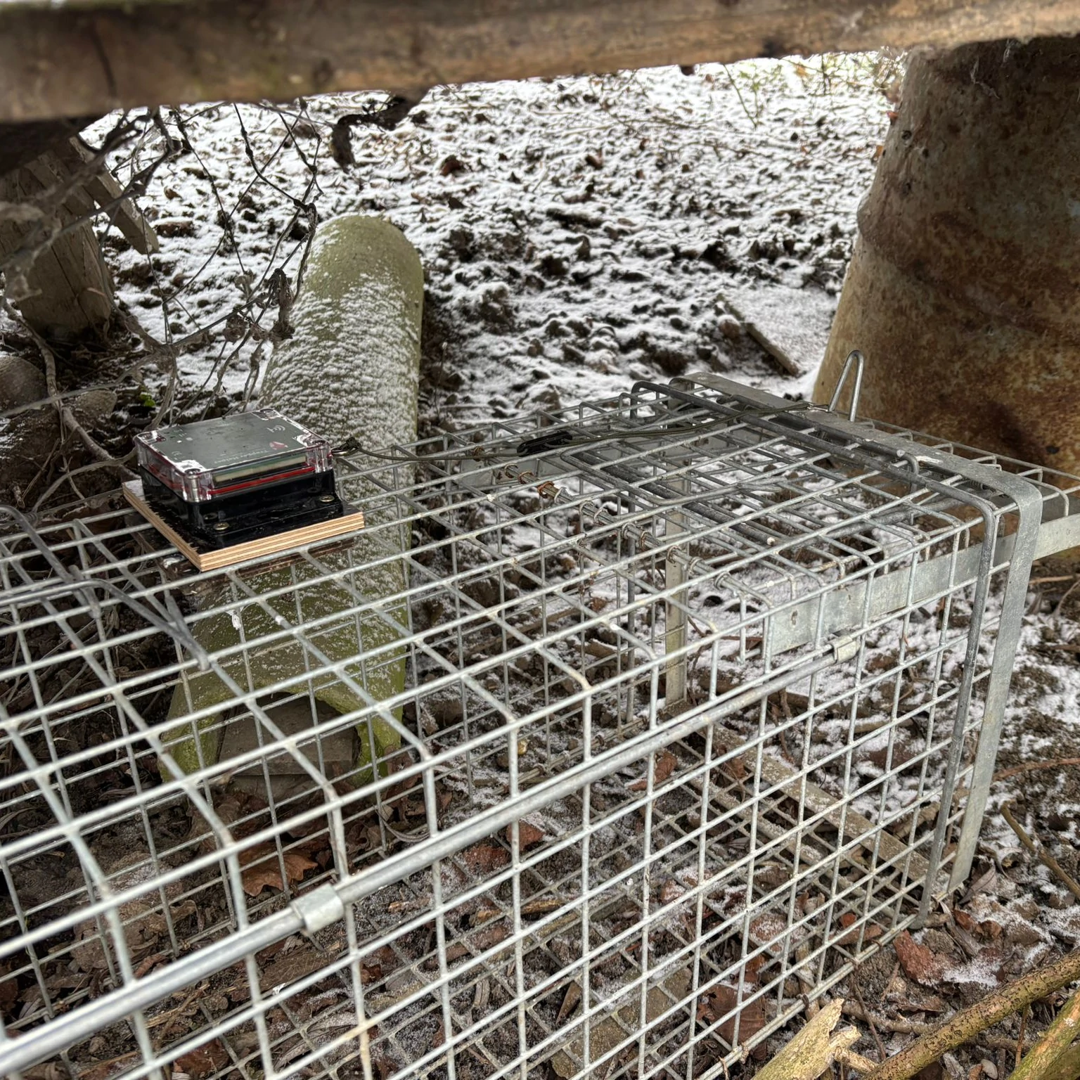 Fallenmelder Montage - Trapper Helper an Steckkastenfalle